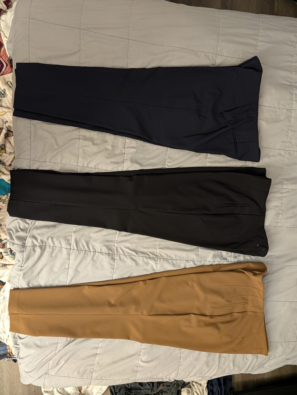 Rachel Zoe Classic Trousers Set in Navy, Black & Camel